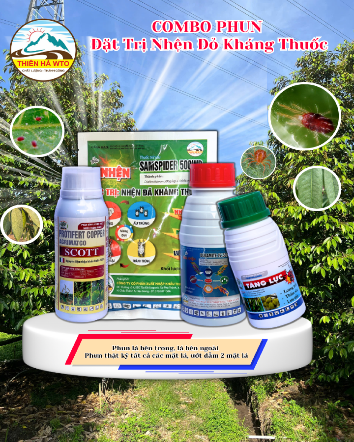 COMBO TRỊ NHỆN ĐỎ KHÁNG THUỐC